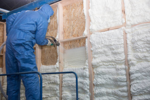 Best Batt and Roll Insulation in Bellevue, PA